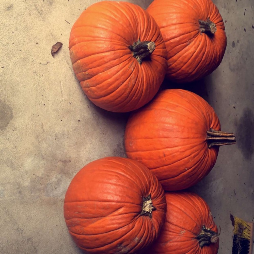 Pumpkins